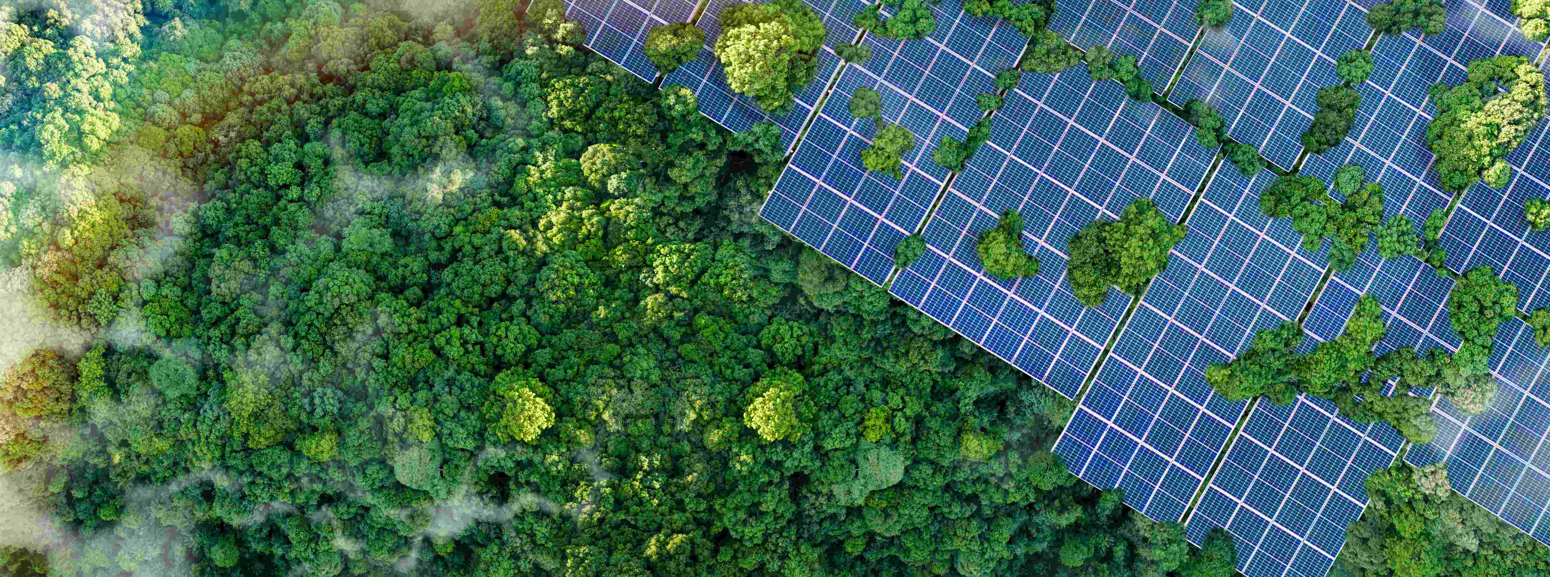 Green technology